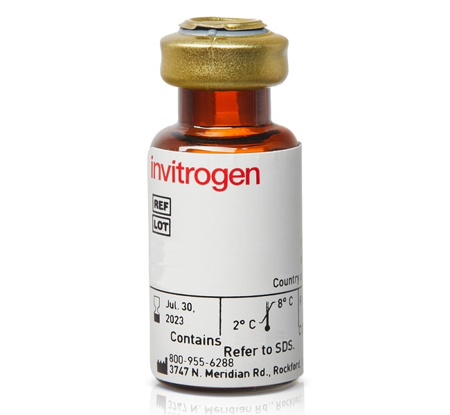 1 MG STREPTAVIDIN ZYMED .